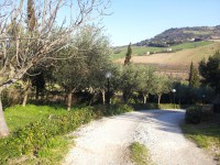 /album/cooperativa-argentovivo-onlus/a20130322-161732-1-jpg/